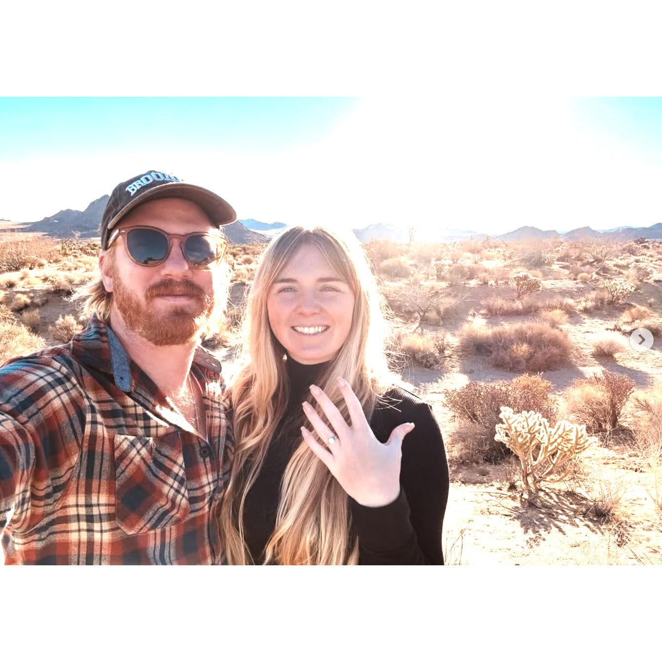 Joshua Tree, Thanksgiving Day 2024