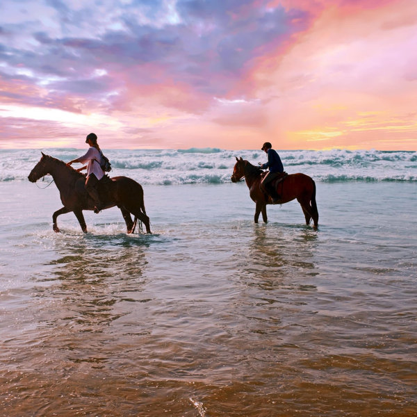 Horseback riding on the Beach in Corfu