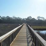 Fort Mose Historic State Park