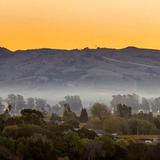 Napa Valley