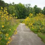Brecksville Reservation