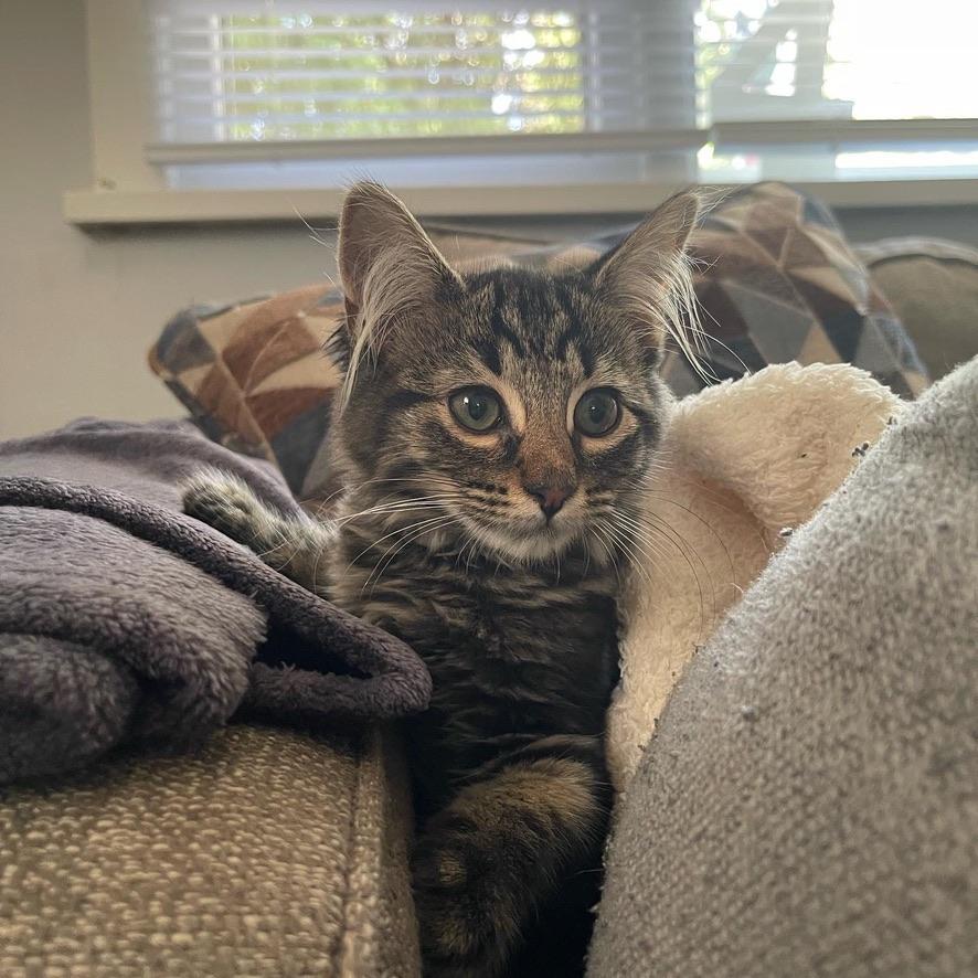 Our first baby!! Millie Bean
