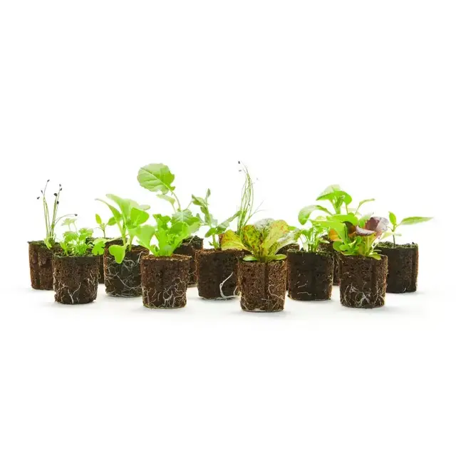 FARMSTAND Starter Bundle 18 plants