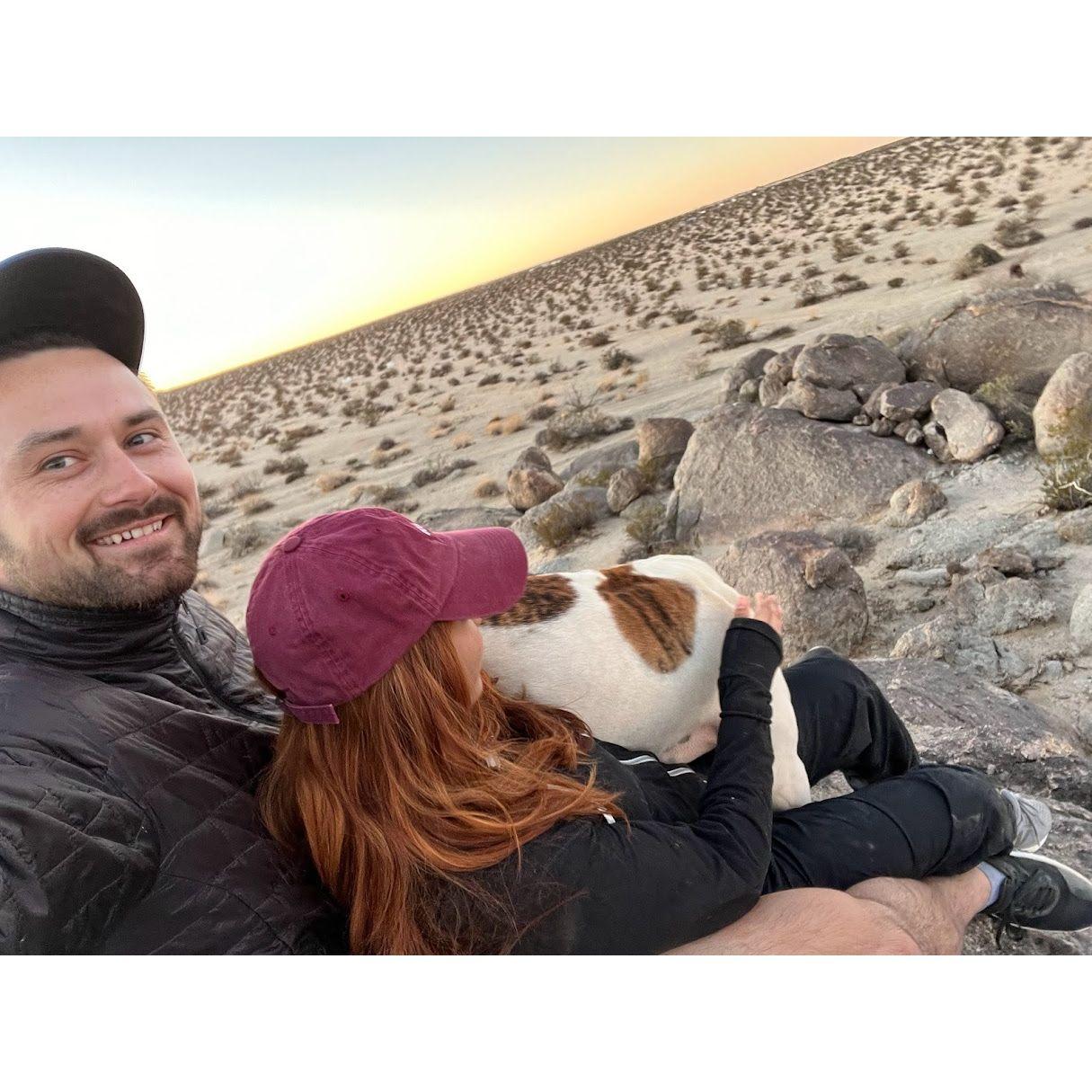Shout out Tammy! Met this cutie at our first camping trip in Joshua Tree on October 2022.