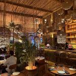 Restaurant | Básico