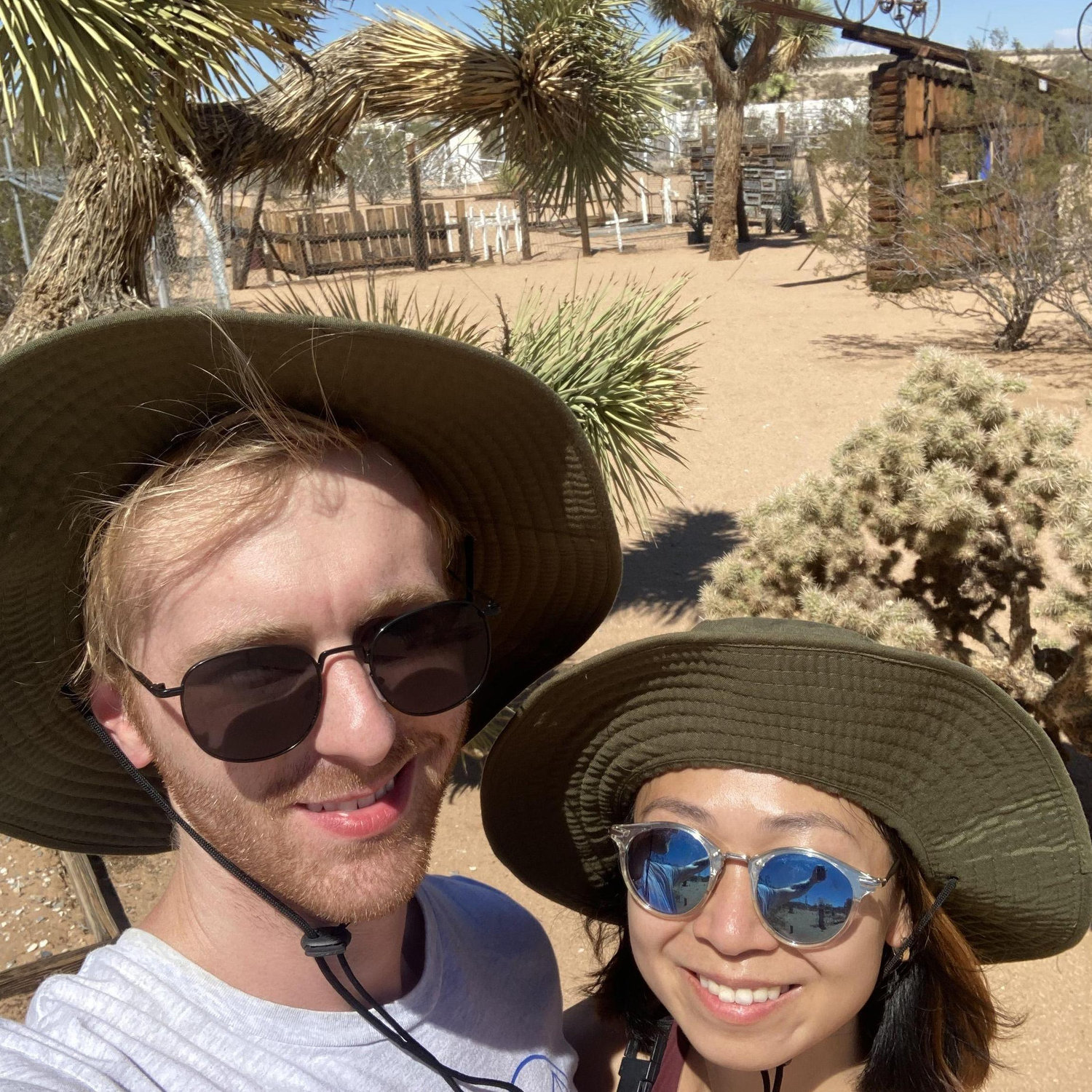 Joshua Tree, 2022