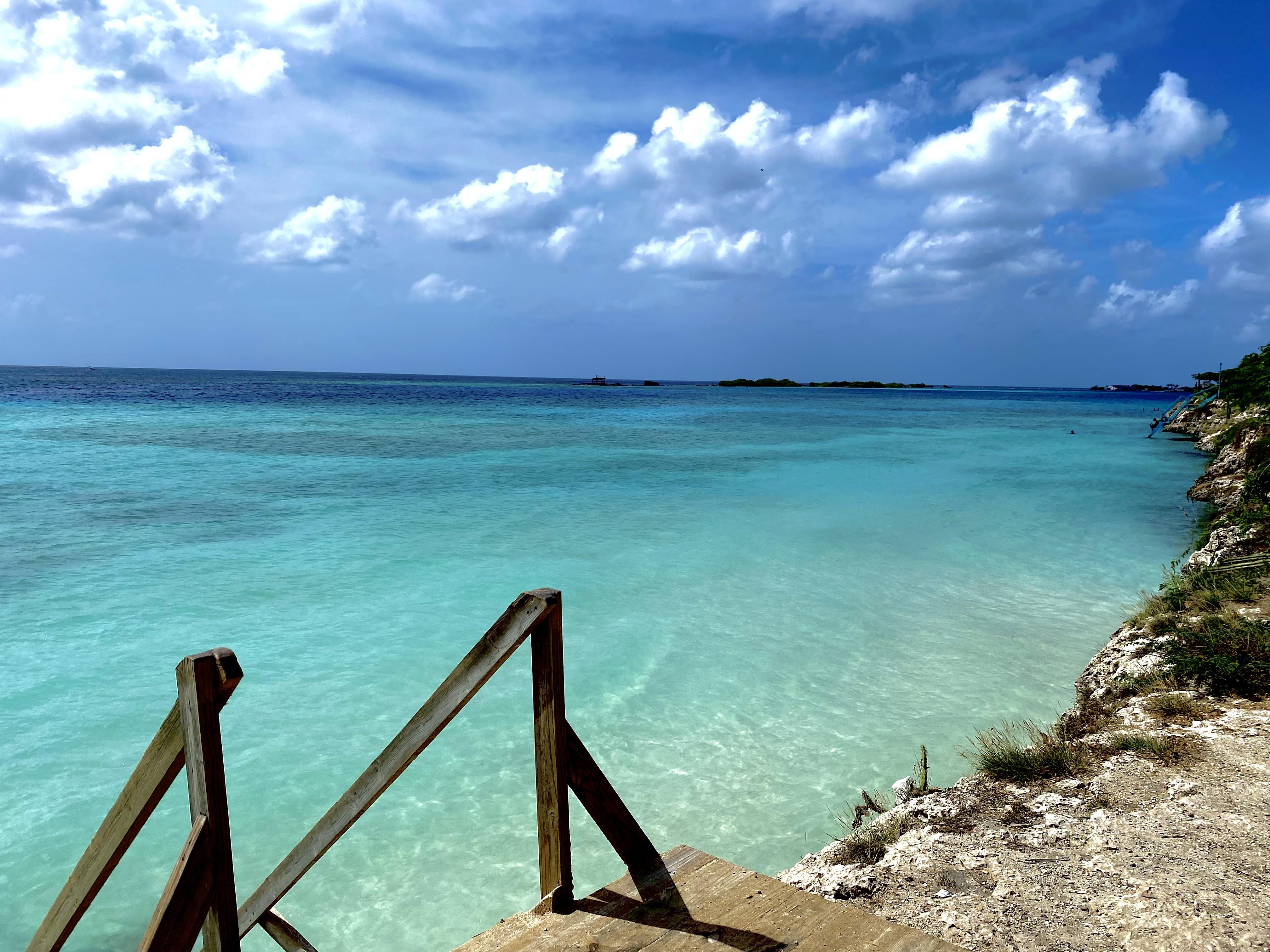 The Wedding Website of Thi Vu and Bradley Shear