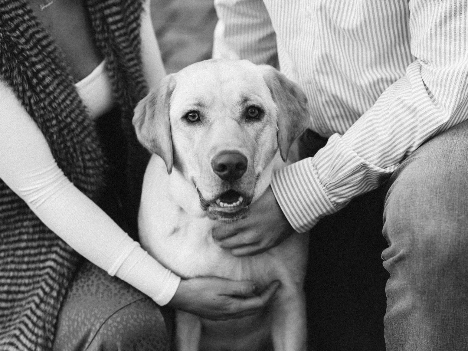 9038198a-5bbd-44ce-a9ec-c7767f4a5838