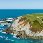 Bodega Head Trail