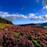 County Wicklow
