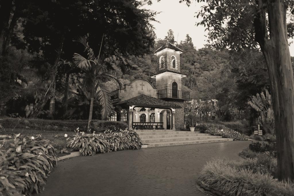 The Wedding Website of Guadalupe María and John Anthony