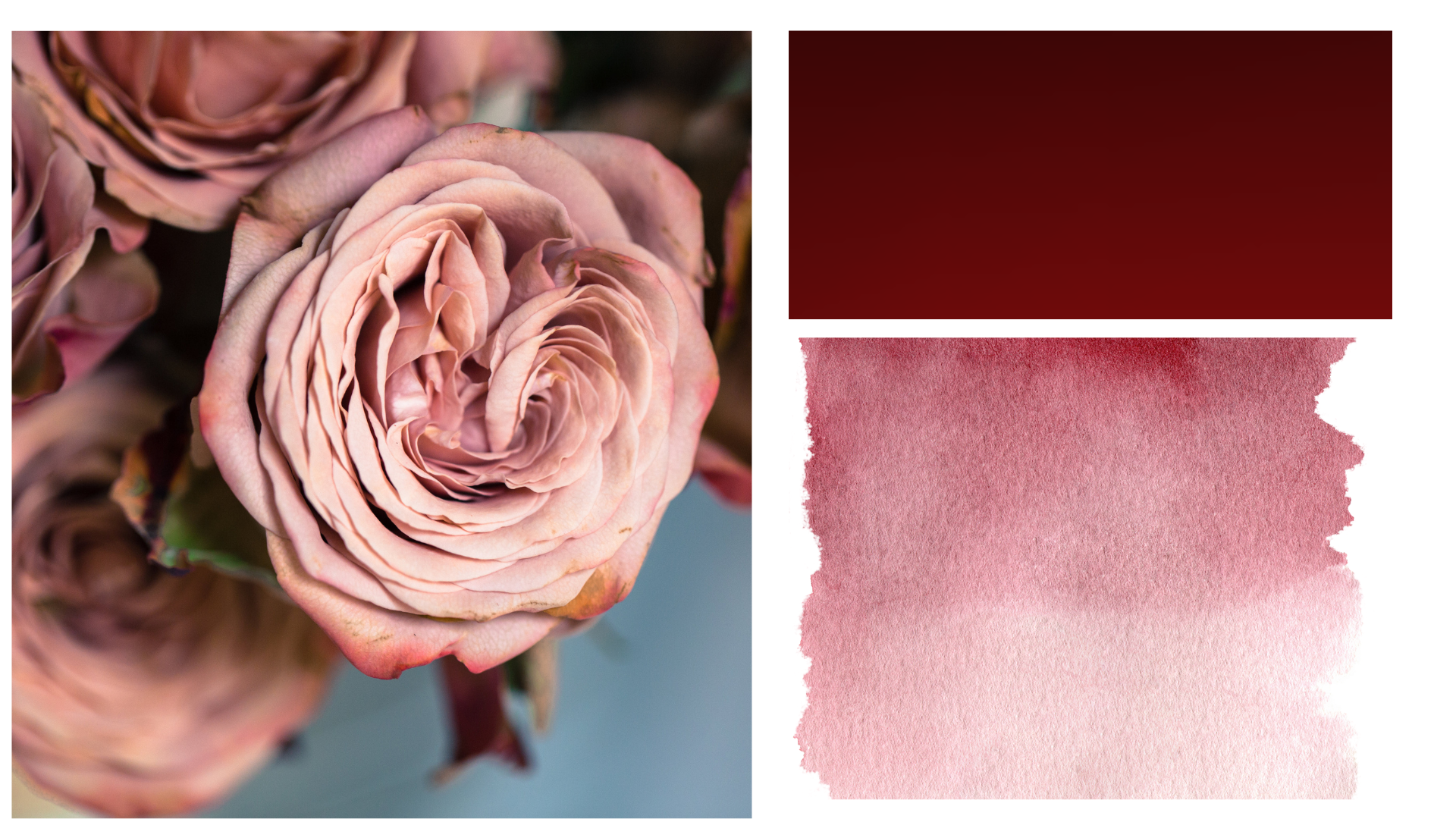 The Wedding Website of Angela Pharr and Jonathan Chisholm