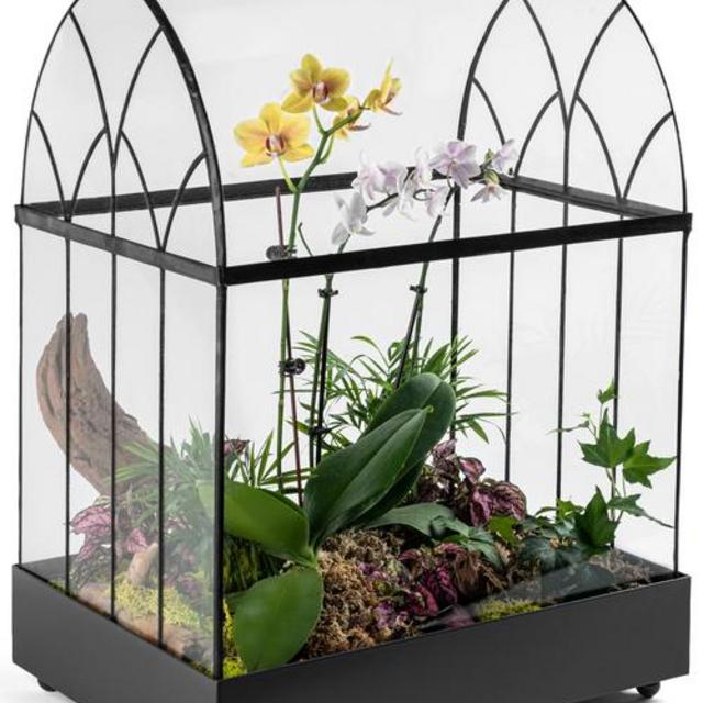 H Potter Terrarium Wardian Case - Glass Plant Container Planter - WAR142 LARGE