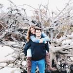 Driftwood Beach