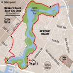Walk/Run/Bike the Back Bay