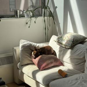 New Furniture Fund