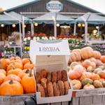 Linvilla Orchards