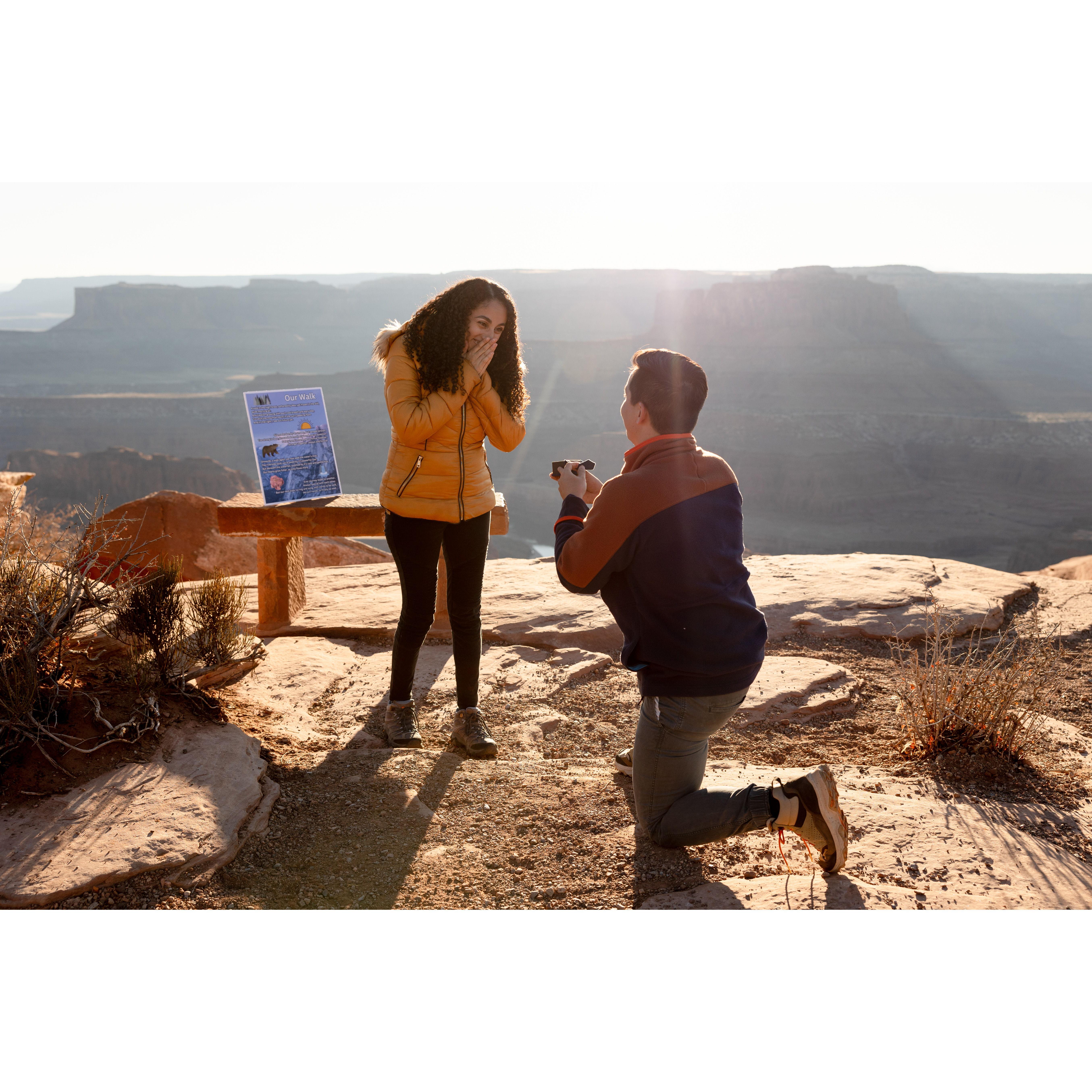 The moment Andrew proposed!