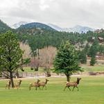 Estes Park 18-Hole Golf Course