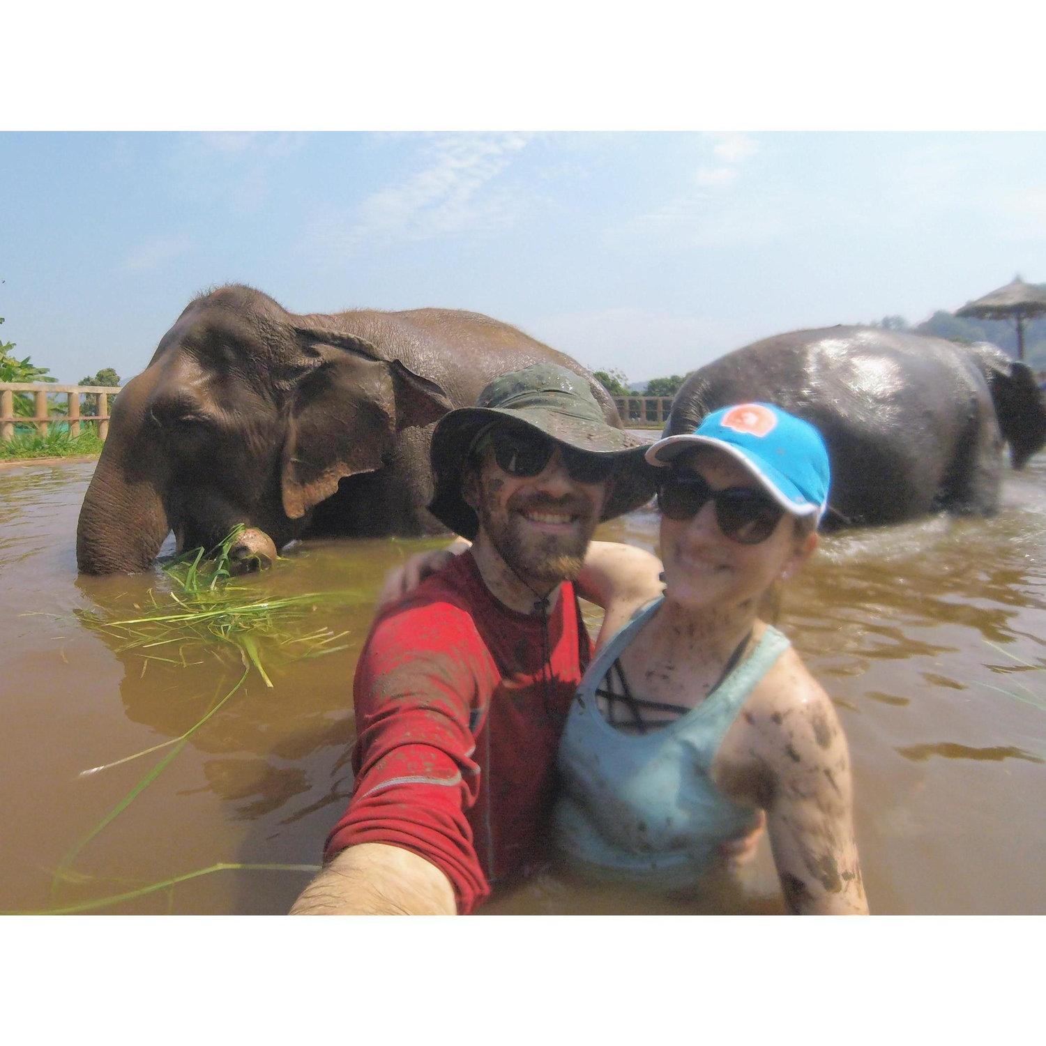 We went to Thailand in 2018. One of the major highlights was interacting with rescued elephants at a reserve. 10 people, 4 elephants - we fed them, covered them in mud, then washed them. So much fun!
