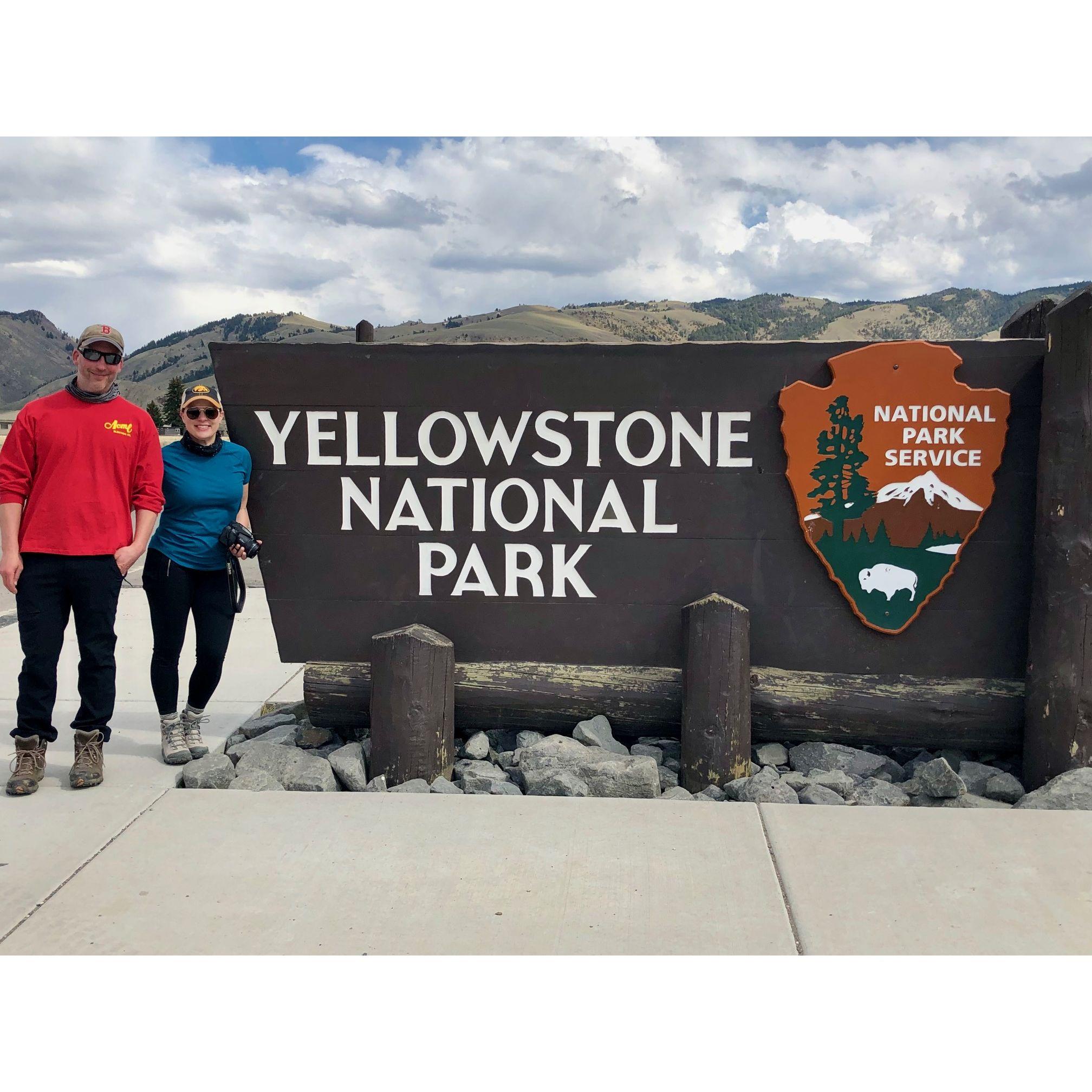 Yellowstone. Spring 2021