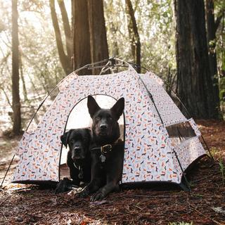 Scout & About Outdoor Pet Tent
