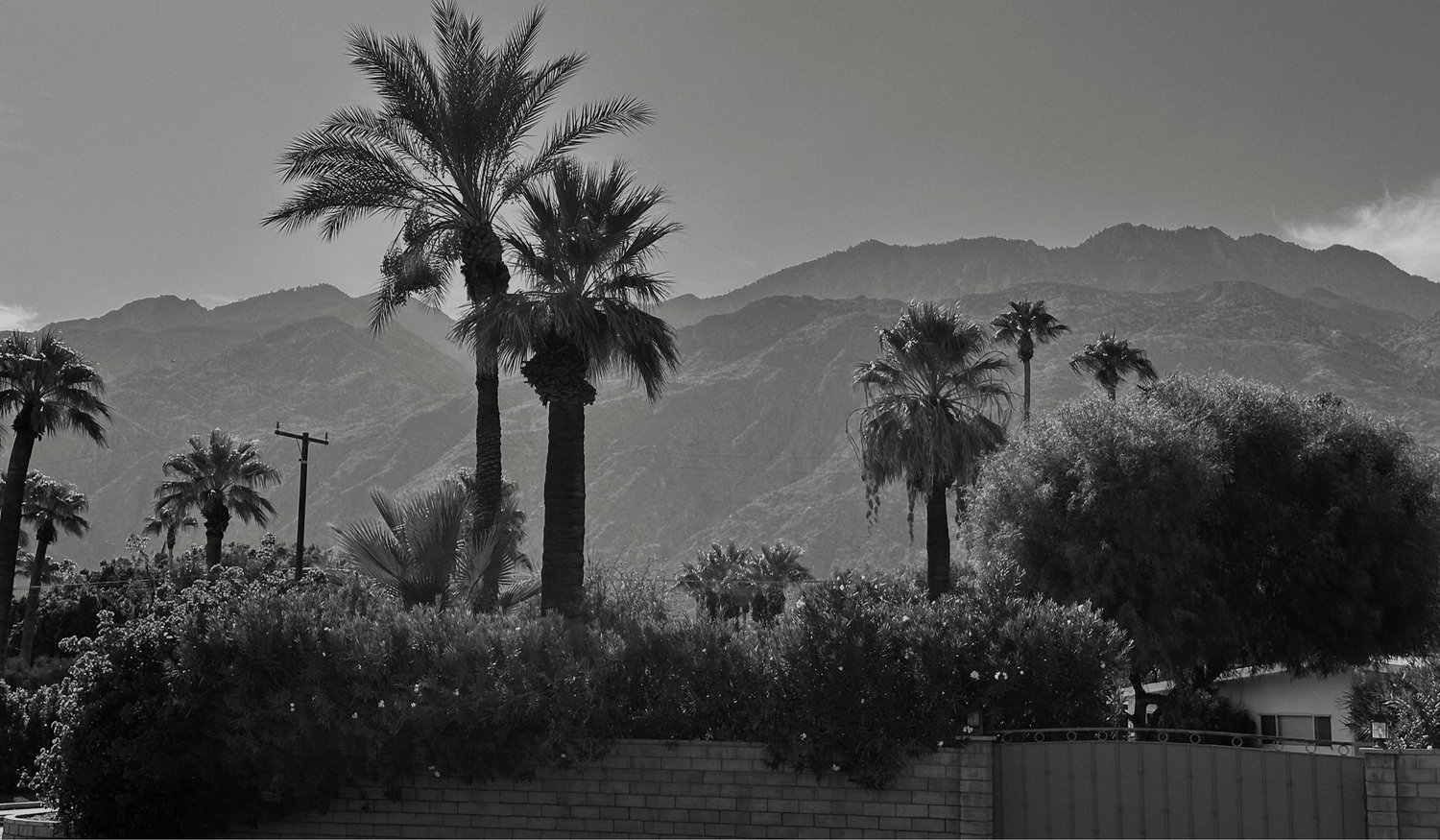 The Wedding Website of Cody Lasseter and Danny Falco