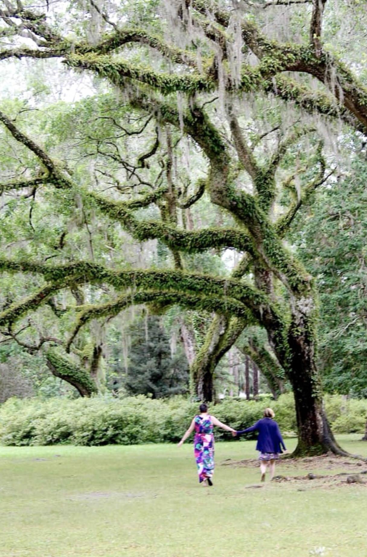 The Wedding Website of Meredith Pass and Emelia Marx-Carman