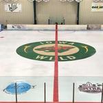 Metro Ice Sports Facility