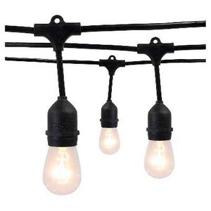 10 Light Heavy-Duty Drop String Lights with Black Wire™ - Smith & Hawken™