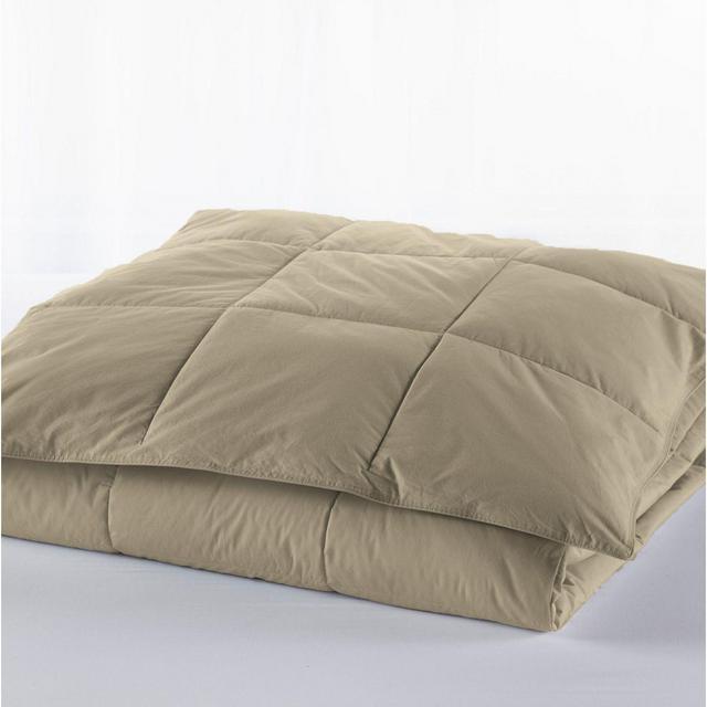 Classic Colors PrimaLoft Comforter- Navy