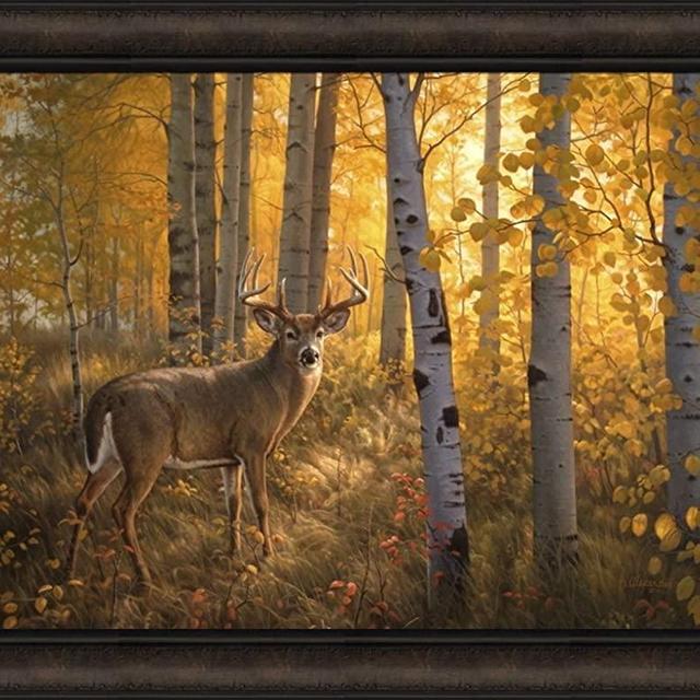 Home Cabin Décor Whitetail in Aspens by Greg Alexander 22x28 Deer Buck Trees Forest Framed Art Print Picture
