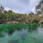 Blue Spring State Park