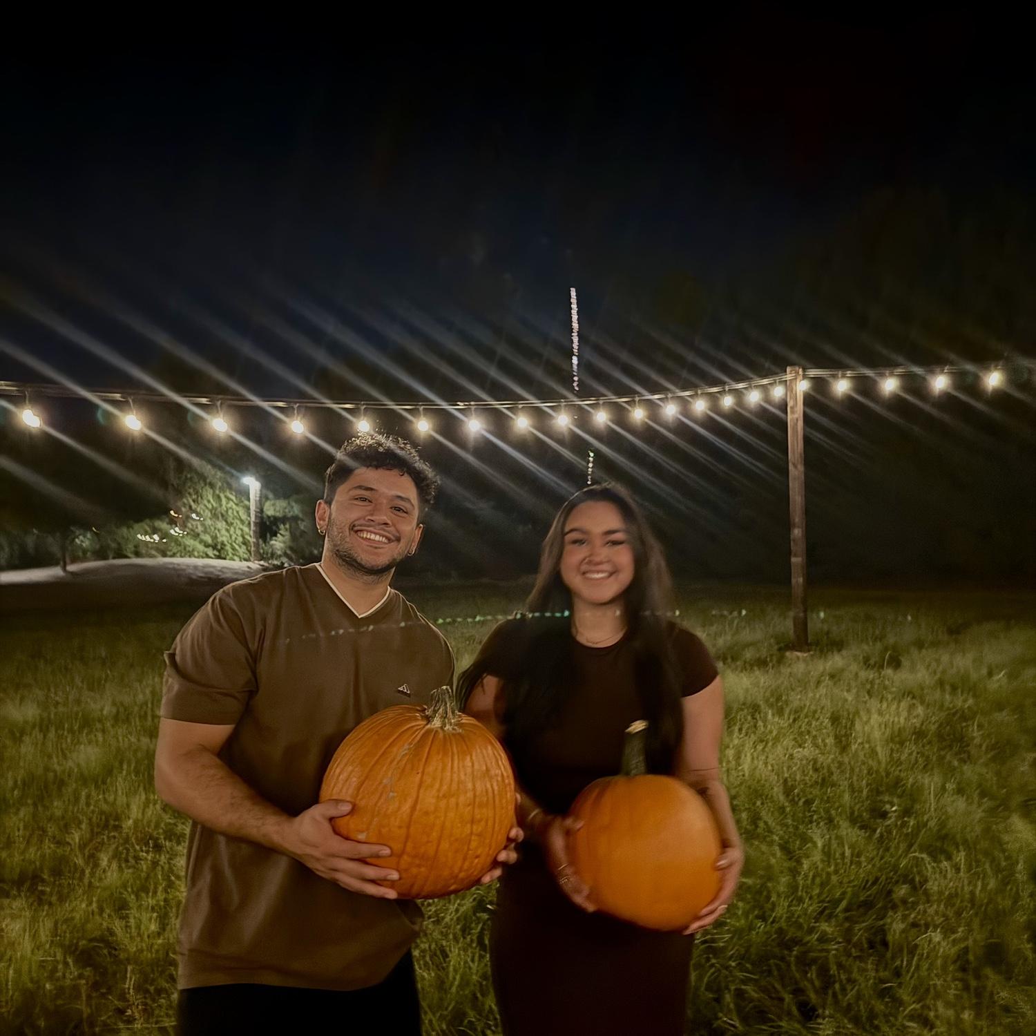 Pumpkin Patch