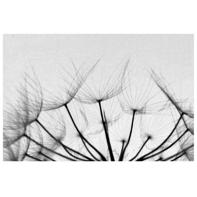Whispers 28-Inch x 22-Inch Canvas Wall Art