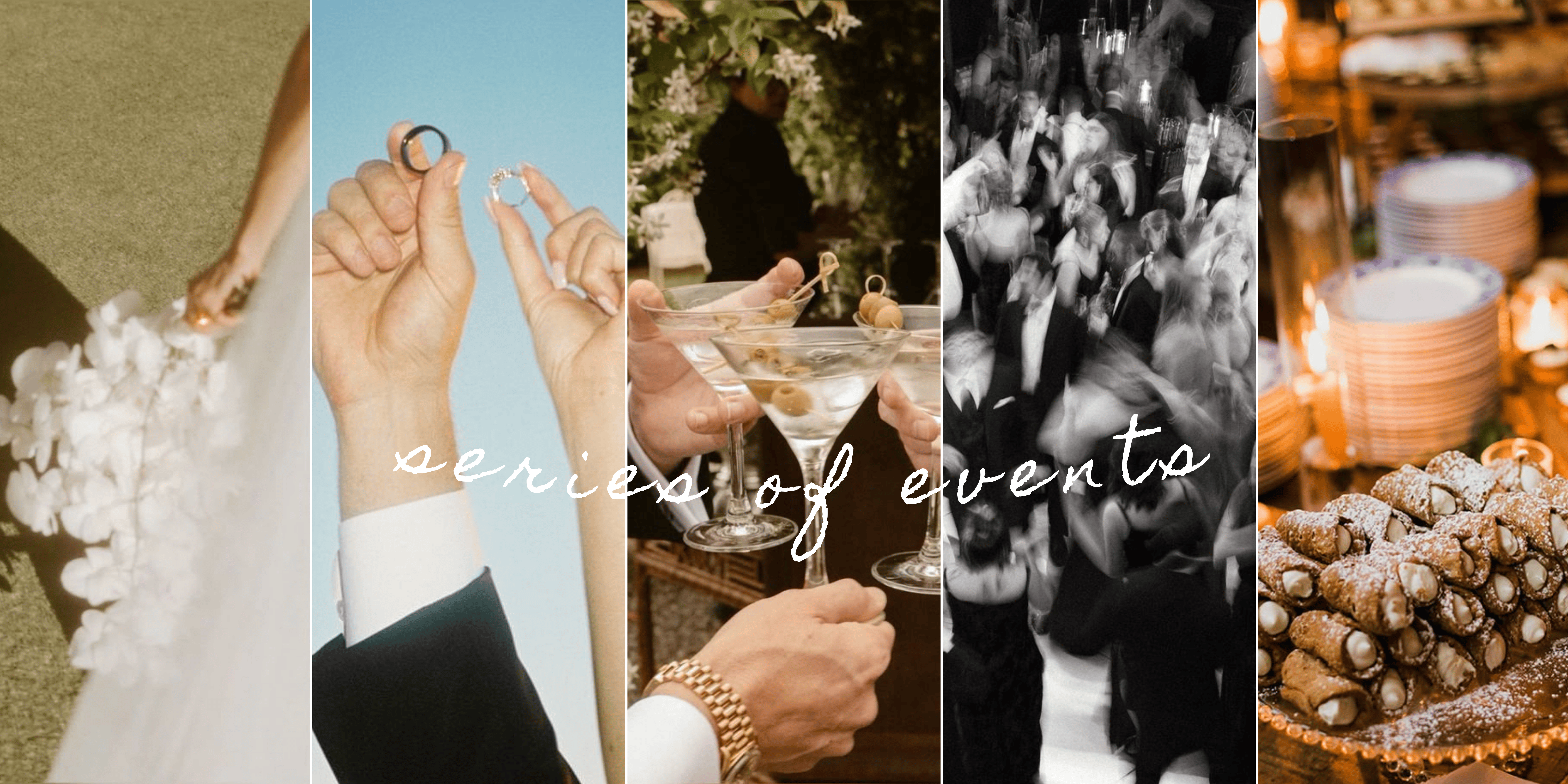 The Wedding Website of abby mae finley and dylan gregory d'errico
