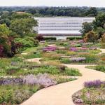 Wisley Gardens