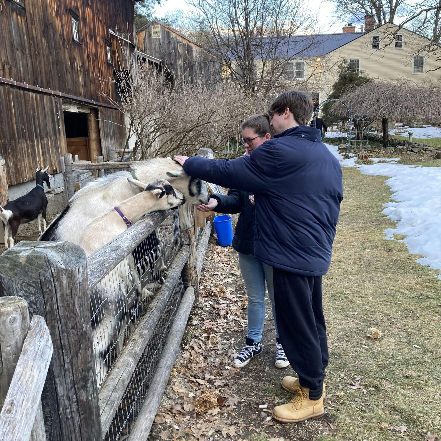 One of the 17 times I dragged Brian out to feed the goats with me on our one night stay in NH.