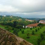 Monserrate to the Coast Trail