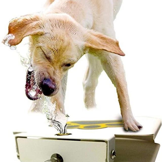 Dog Water Dispenser Pet Fountain