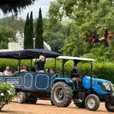 Stellenbosch wine tractor