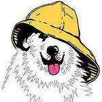 Sea Dog Brewing Co.