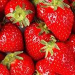 Sweet Berry Farm