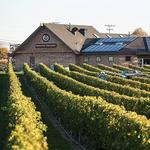 Newport Vineyards