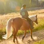Horse Back Riding