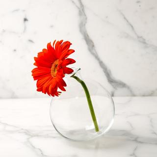 Sphere Vase