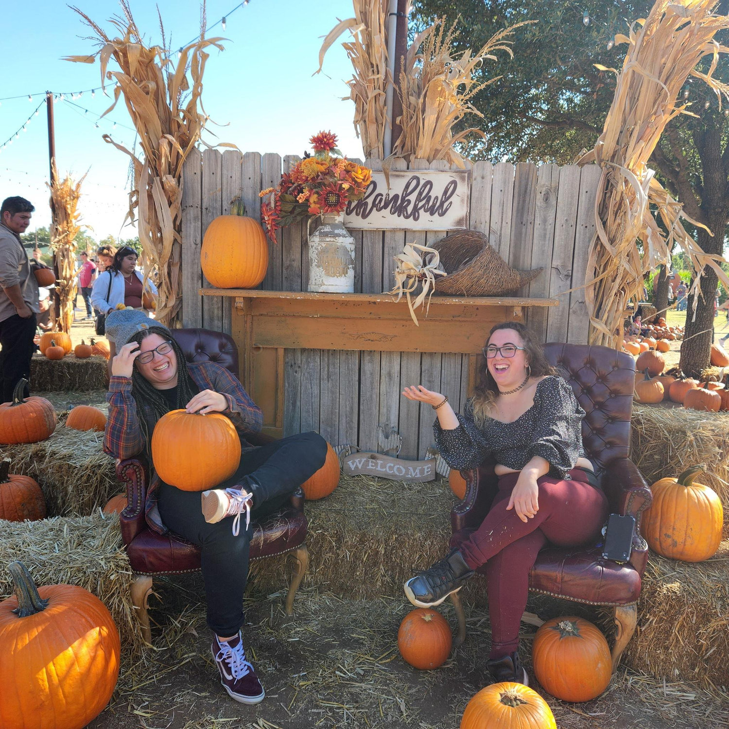One of our favorite photos at Hall Farm.