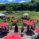 Arrigoni Winery & Cider Co.