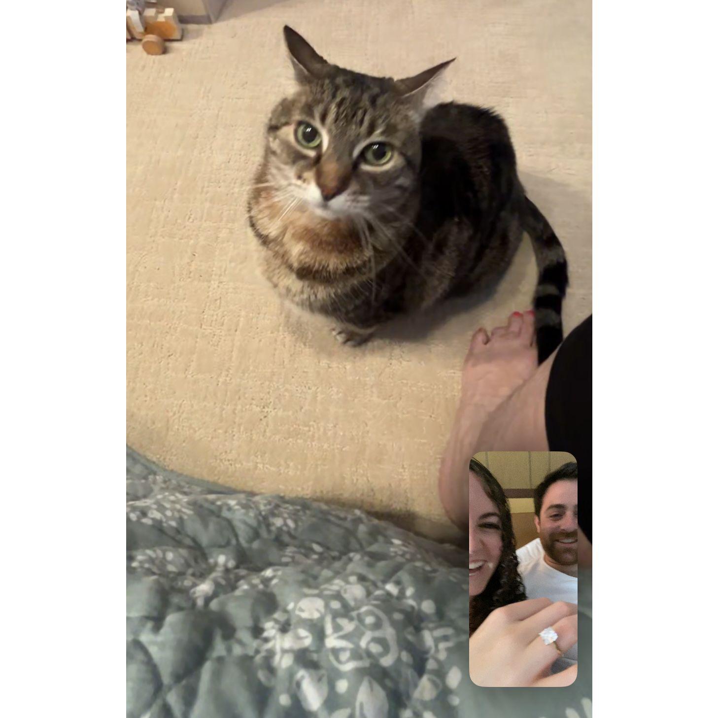 FaceTiming Selina Kyle to let her know we got engaged