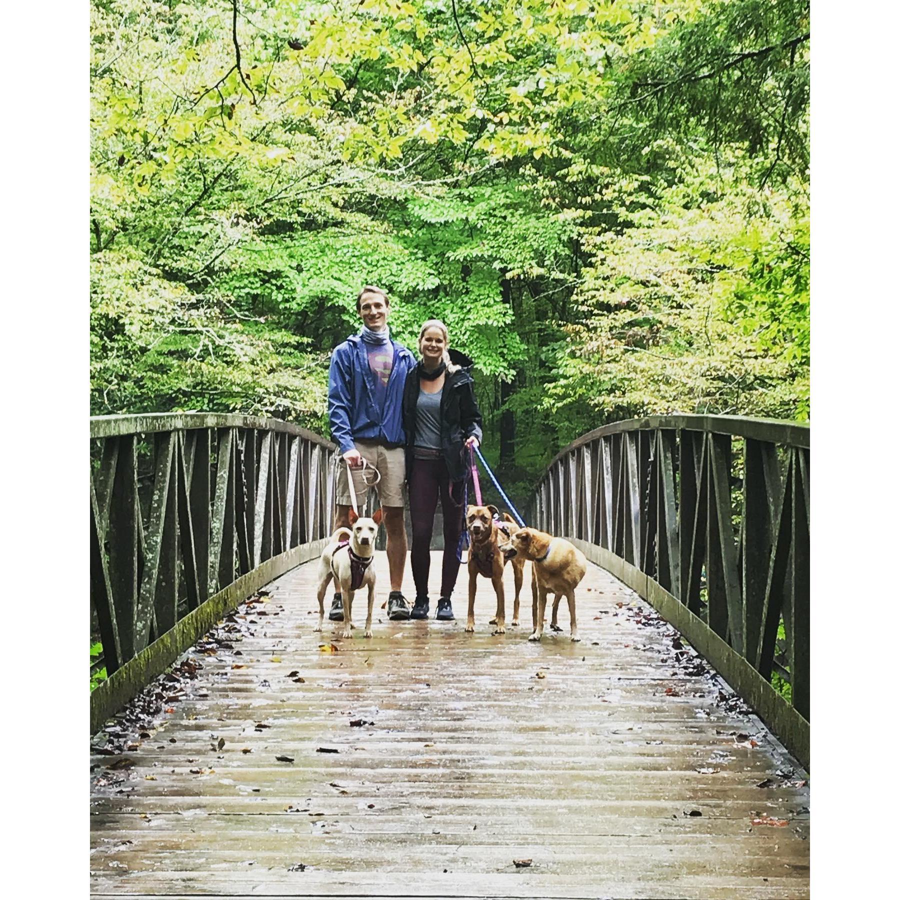 Rainy day with the pups in the Smoky Mountains